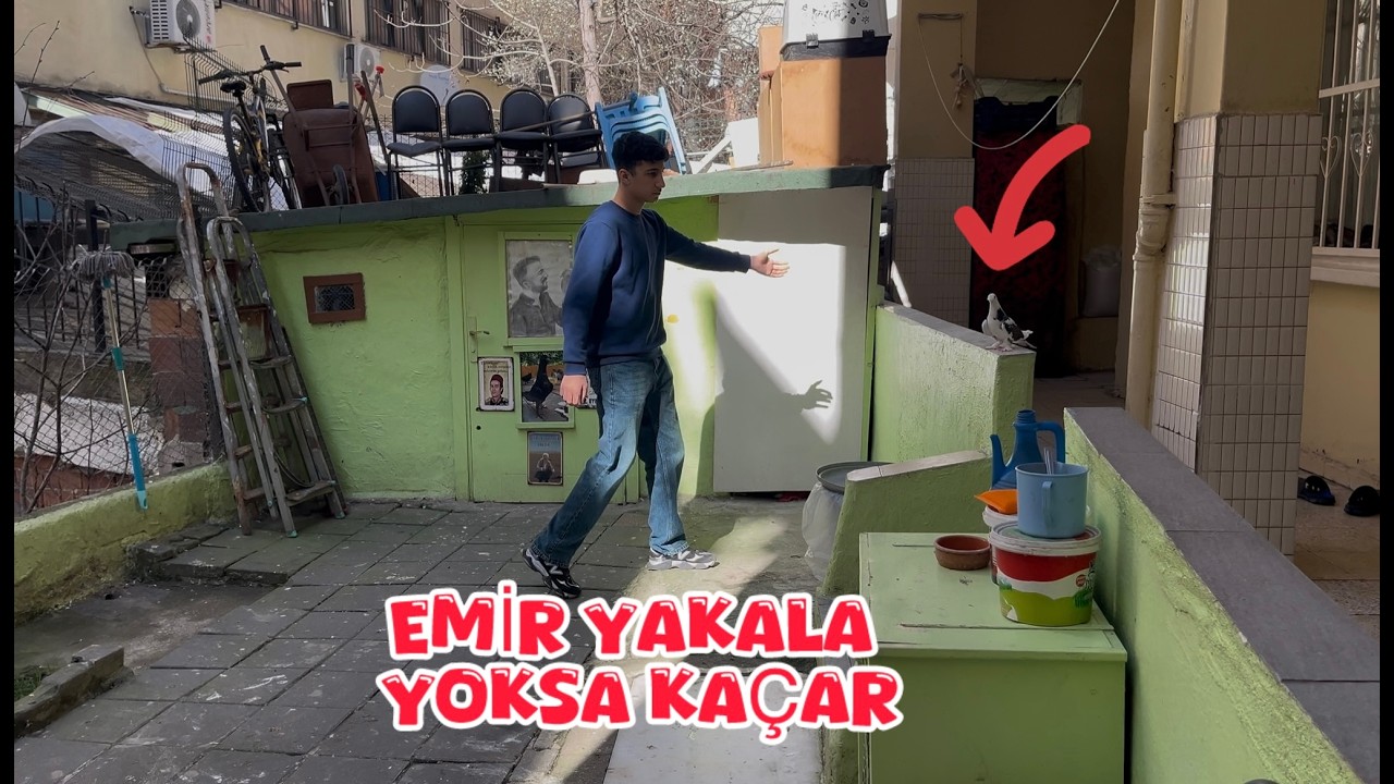 EMİR İLE YAVRULARI BAHÇEYE ÇIKARDIK OLAN OLDU ( EMİR YAKALA YOKSA KAÇAR )