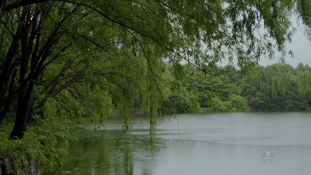 The quiet lake surface in the rain, the sounds of nature, white noise – all help with sleep-ASMR的副本