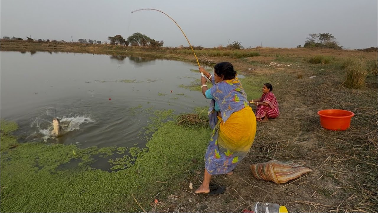 Fishing Video || Village ladies are very skilled and experienced in fishing || Fish catching trap