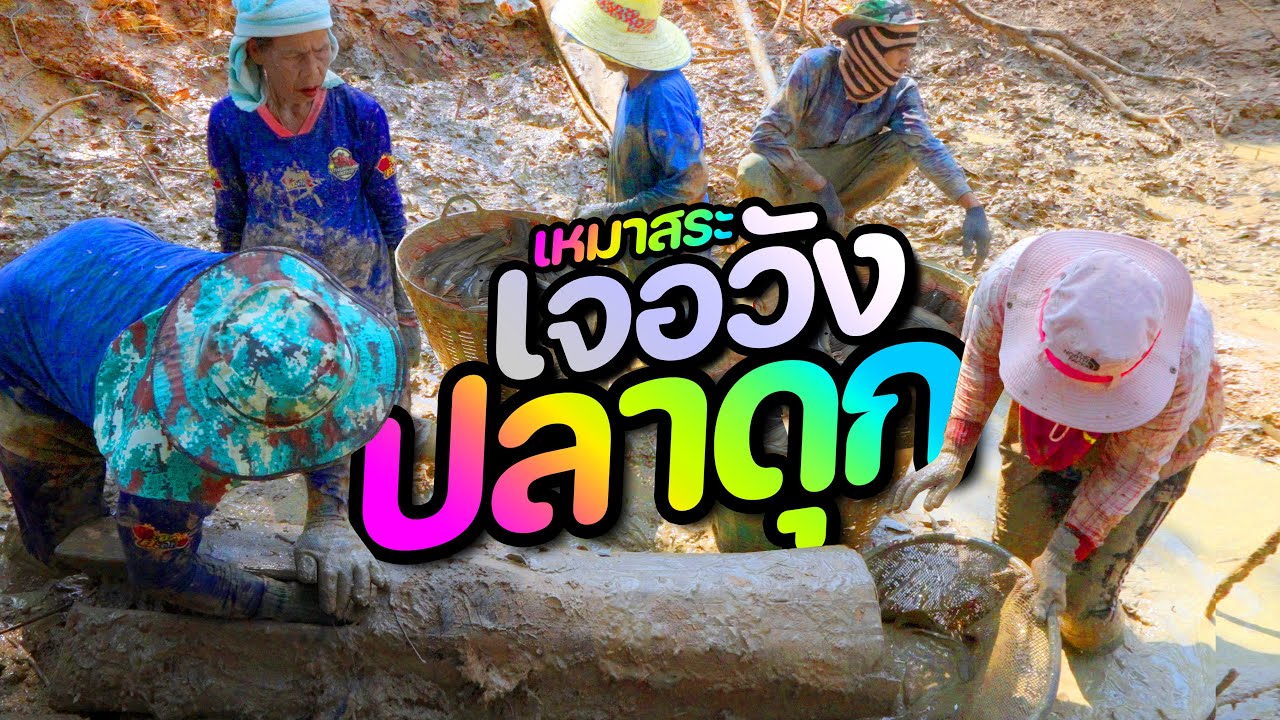 เหมาสระ 1,000 บาท ทีเด็ดปลาดุกซุกตอ 24 กุมภาพันธ์ 2567