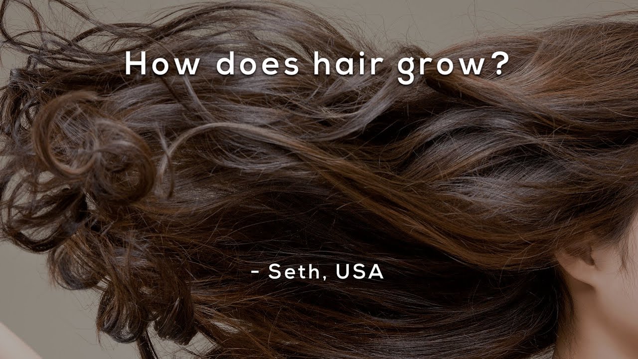 How does hair grow?
