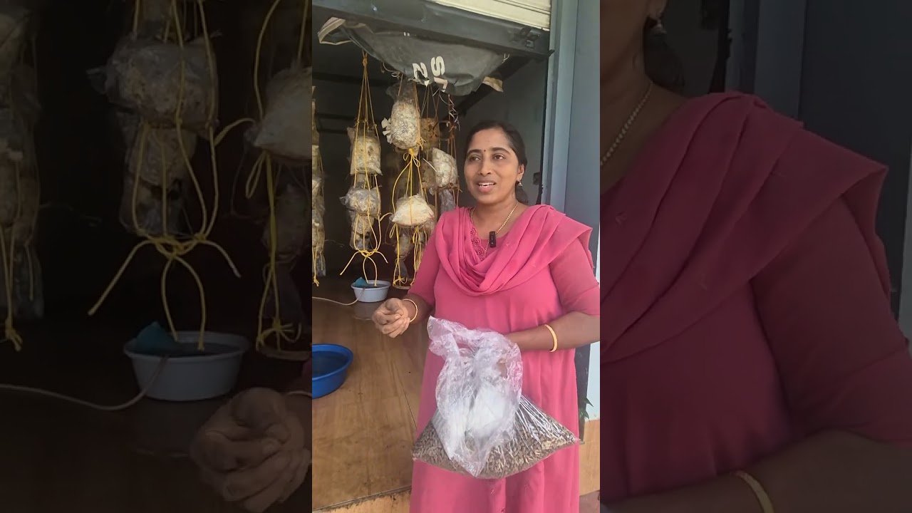 കൂൺ കൃഷി 