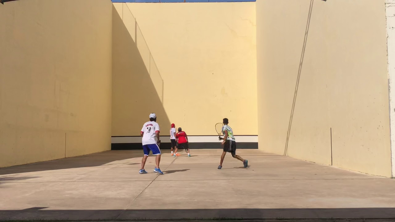 Pitai vs pajarito