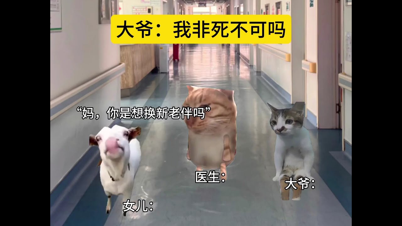 大爷：我是非死不可吗  