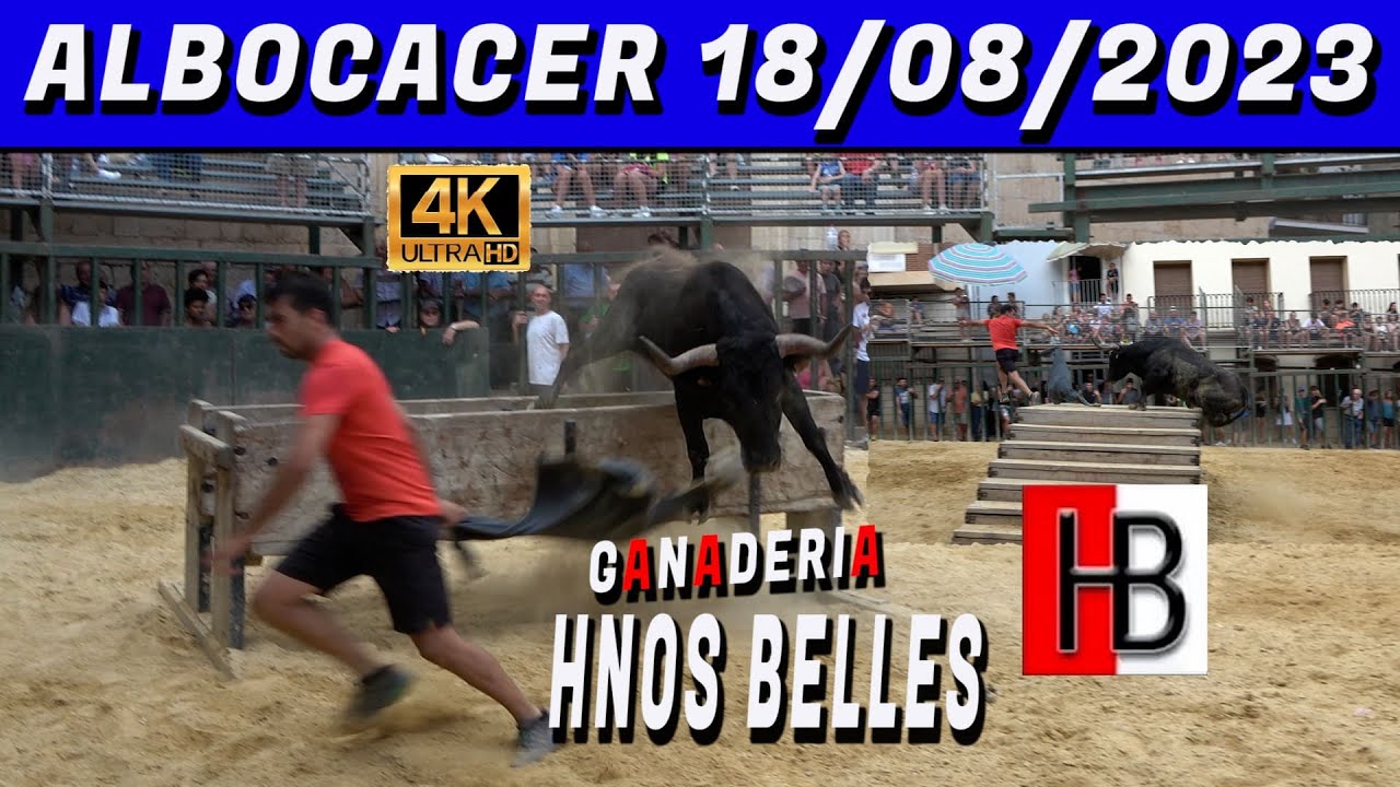 👀👉👌ALBOCACER 2023 HNOS BELLES