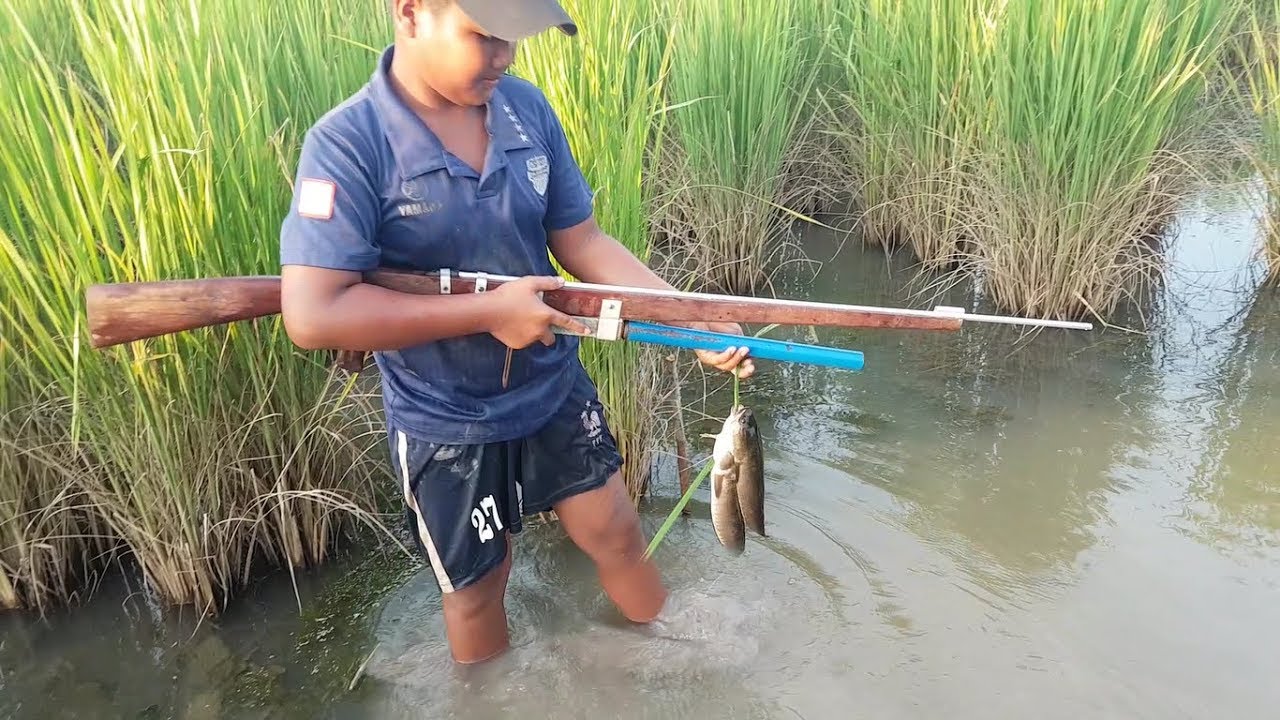 Brave man Catch Fish Using Gun - How to Shooting Fish-|air rifle fishing big fish|