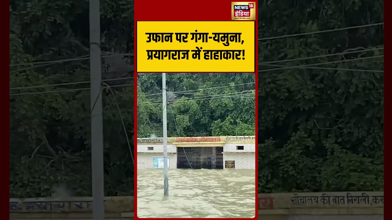 Prayagraj: उफान पर गंगा यमुना, प्रयागराज में हाहाकार! | #FloodNews #Shorts
