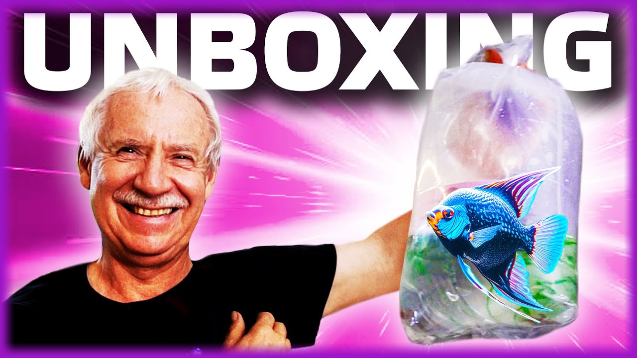 Seltene Fisch-Unboxing: Du wirst staunen!
