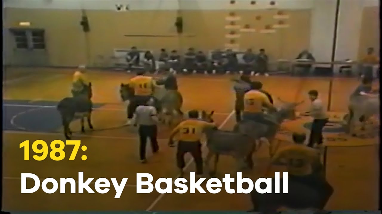 Highlights: Donkey Basketball (1987)