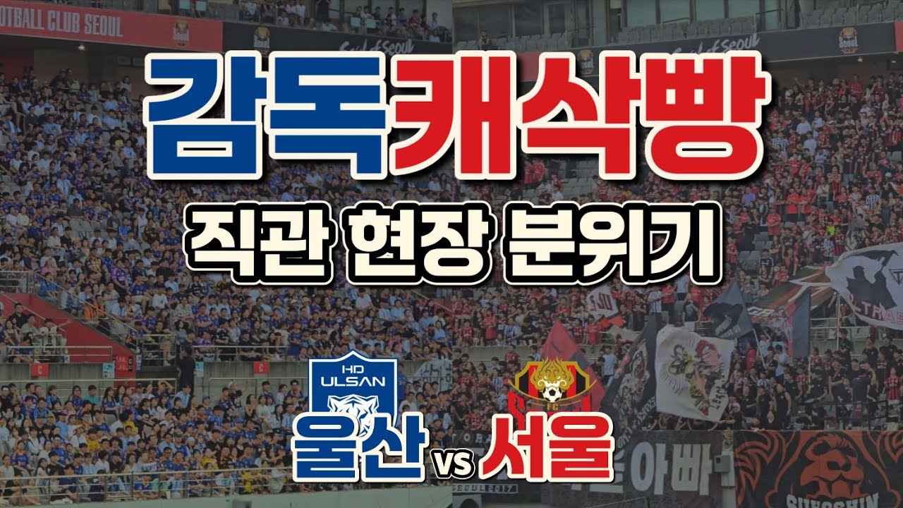 8년만에 승리한 FC서울 vs 응원 보이콧 울산HD, 숨막히는 감독캐삭빵 직관 현장 분위기