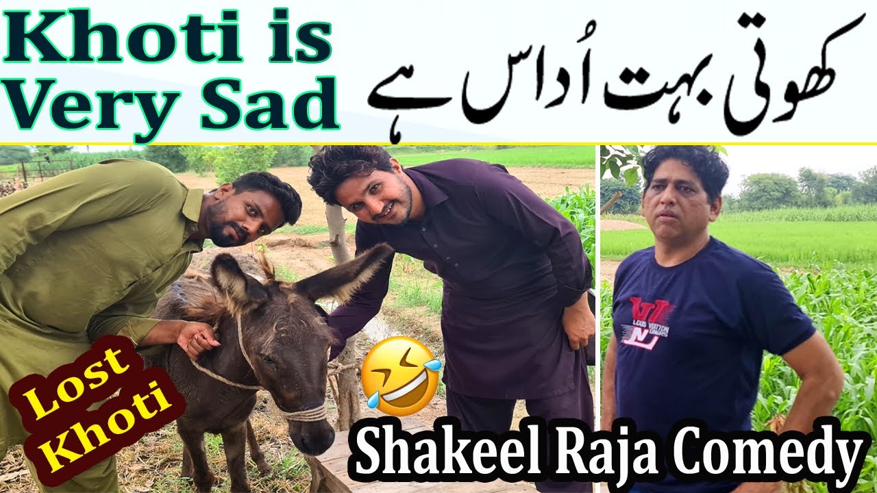 Shakeel Raja Finds a Lost Donkey 😂 | Funny Street Search with Friends