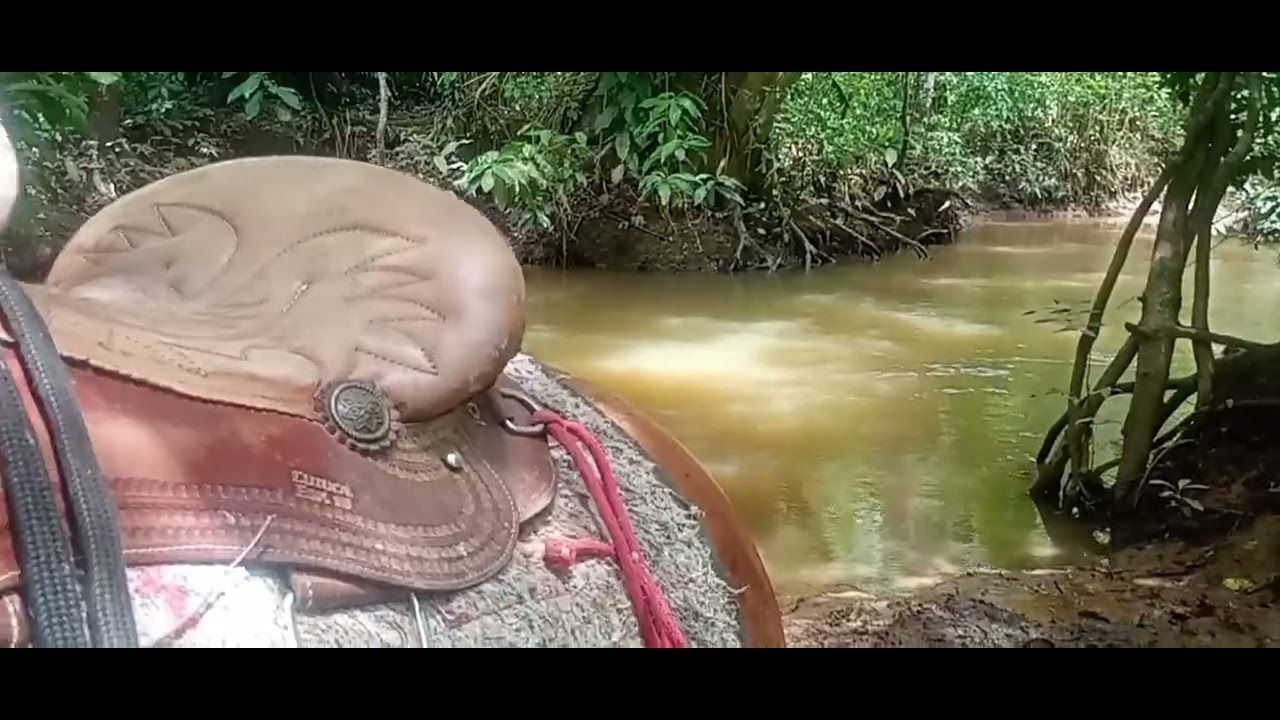 Hoje foi dia da mechida🐂🐂🐎