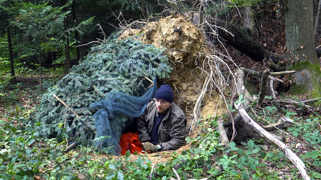 Night in Shelter in the Hole of a Fallen Tree - No Sleeping Bag