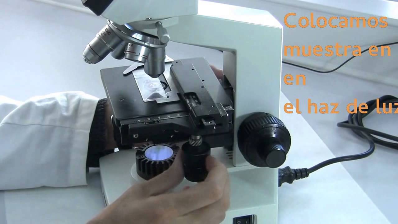 microscopio dioptrías