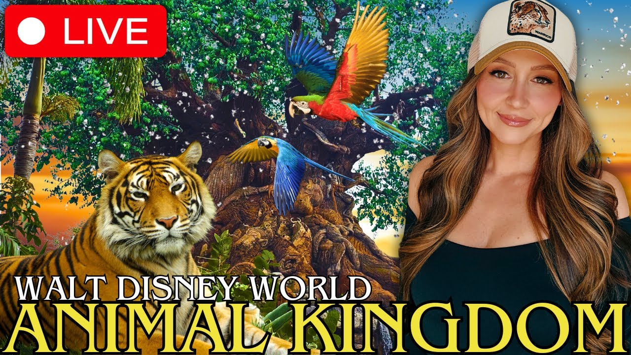 🔴 LIVE | A Beautiful Early Morning at Disney's Animal Kingdom | What's NEW? Merch, Treats and More!