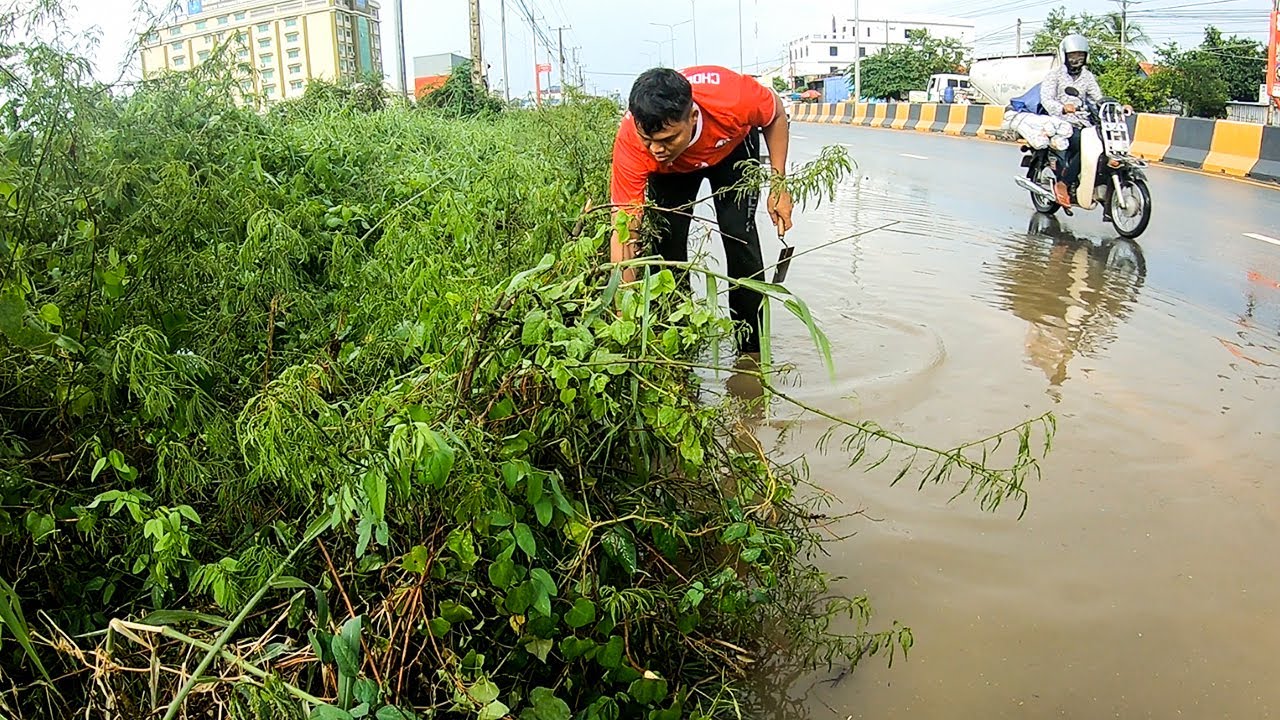 Follow Me Clean Culvert Drain On Street Is Very Importance In Rainy Season
