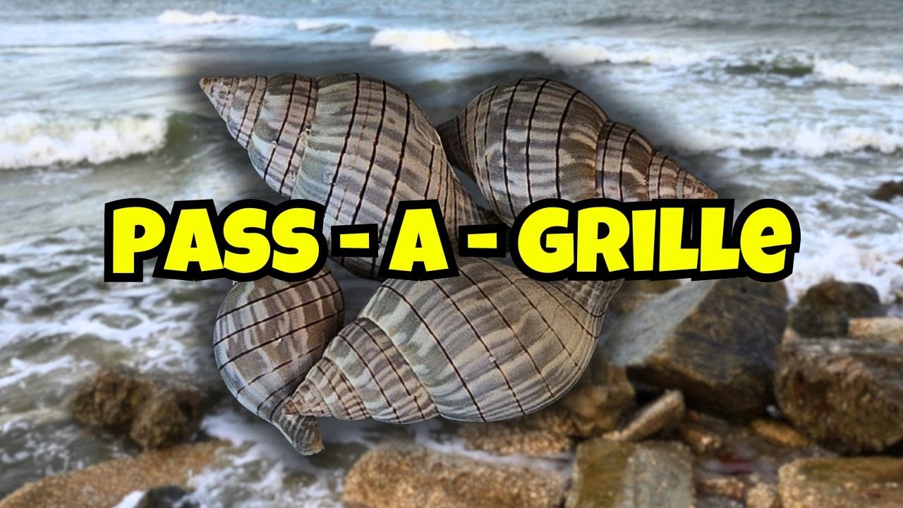 ОБСТРЕЛ Pass-a-Grille после урагана Дебби 🌀