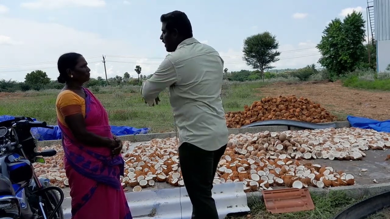 தேங்கா பருப்பு உற்ப்பத்தி