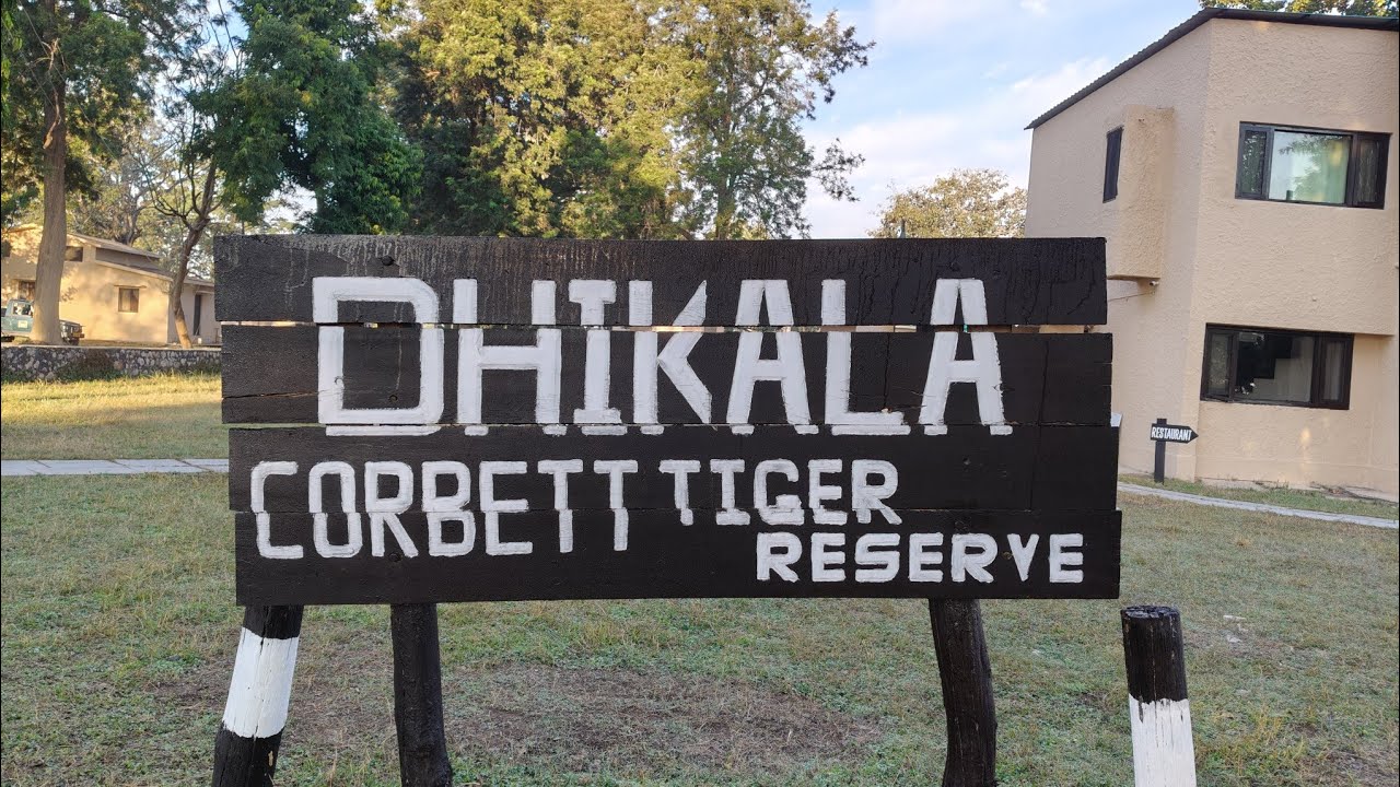 Dhikala FRH Complete Guide | How to book safari | Jim Corbett Safari Cost | How to book Dhikala 