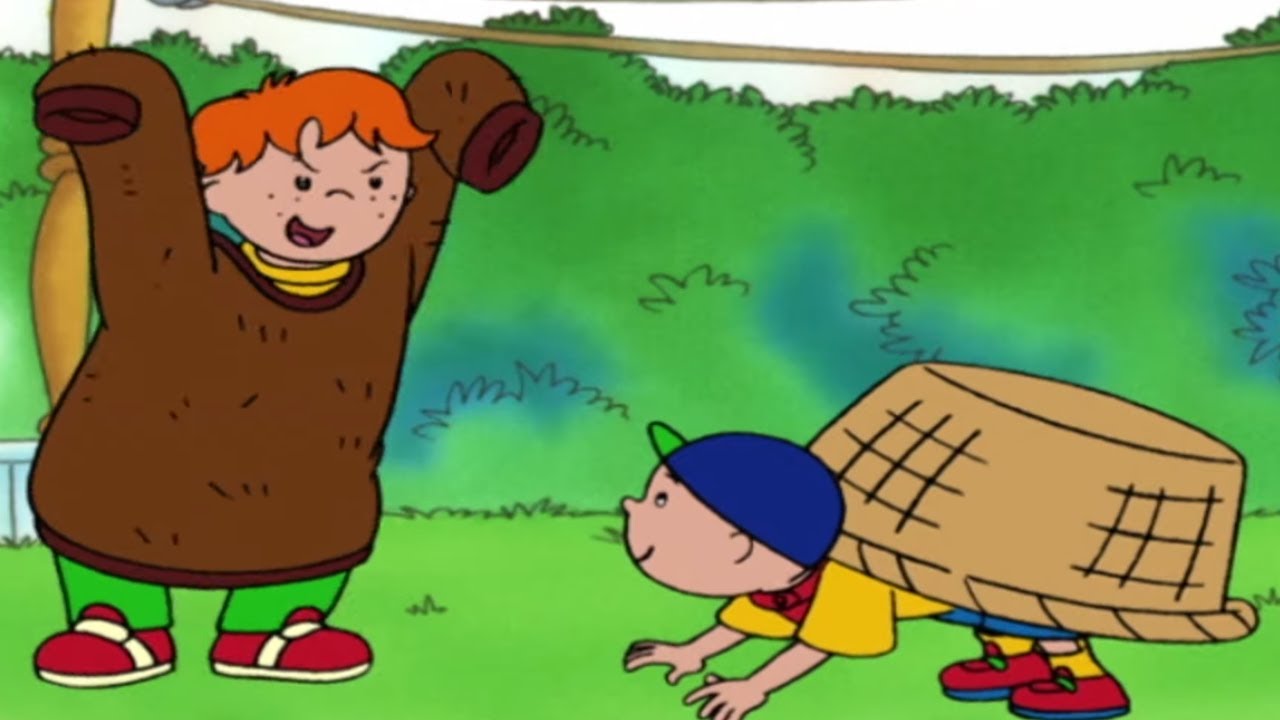 🐻 Ogród zoologiczny na podwórku 🐢 | Kajtuś po Polsku [Caillou] - WildBrain