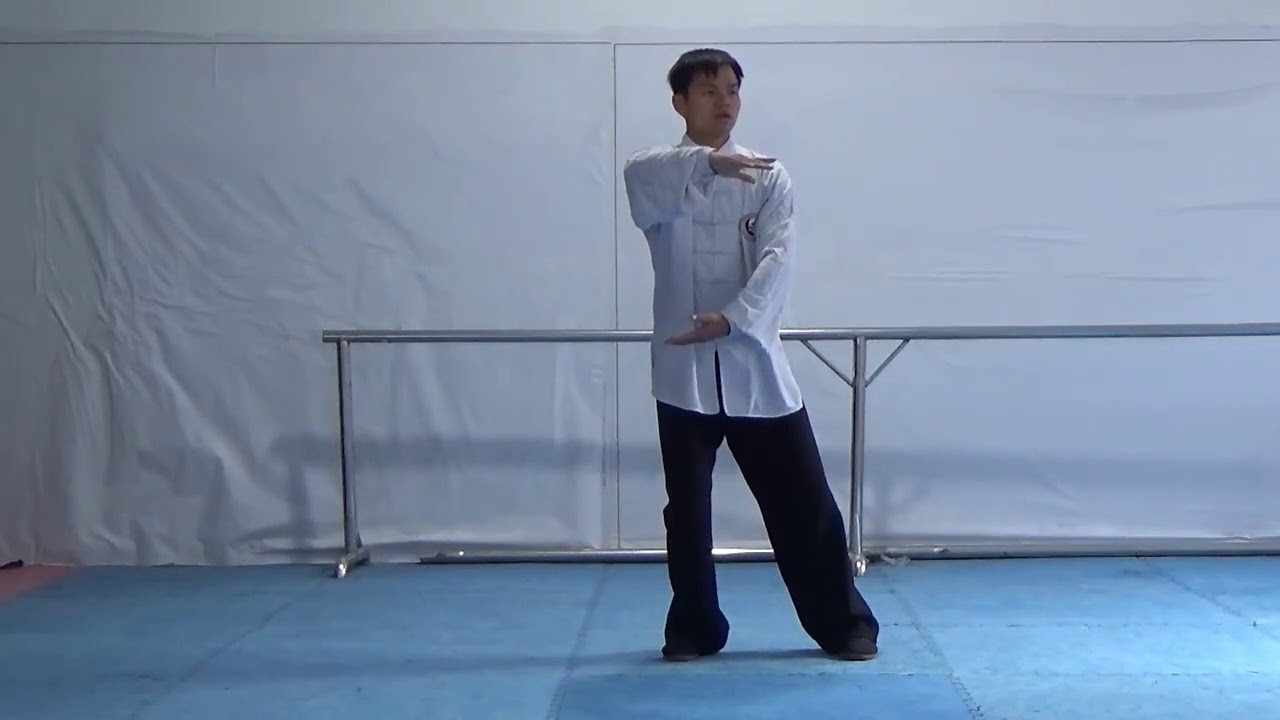 武当太极十三势套路学习