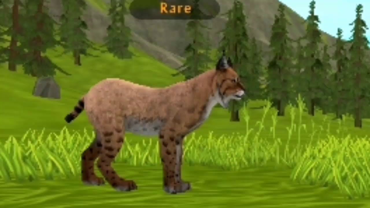 3D Wild Animals animations | interactive animals playing each other | Wolf videos | Animan Videos