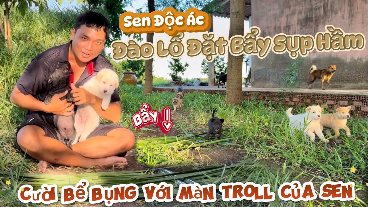 Cười Bể Bụng Với Màn Troll Có 1 không 2 Của Anh Sen Độc Ác