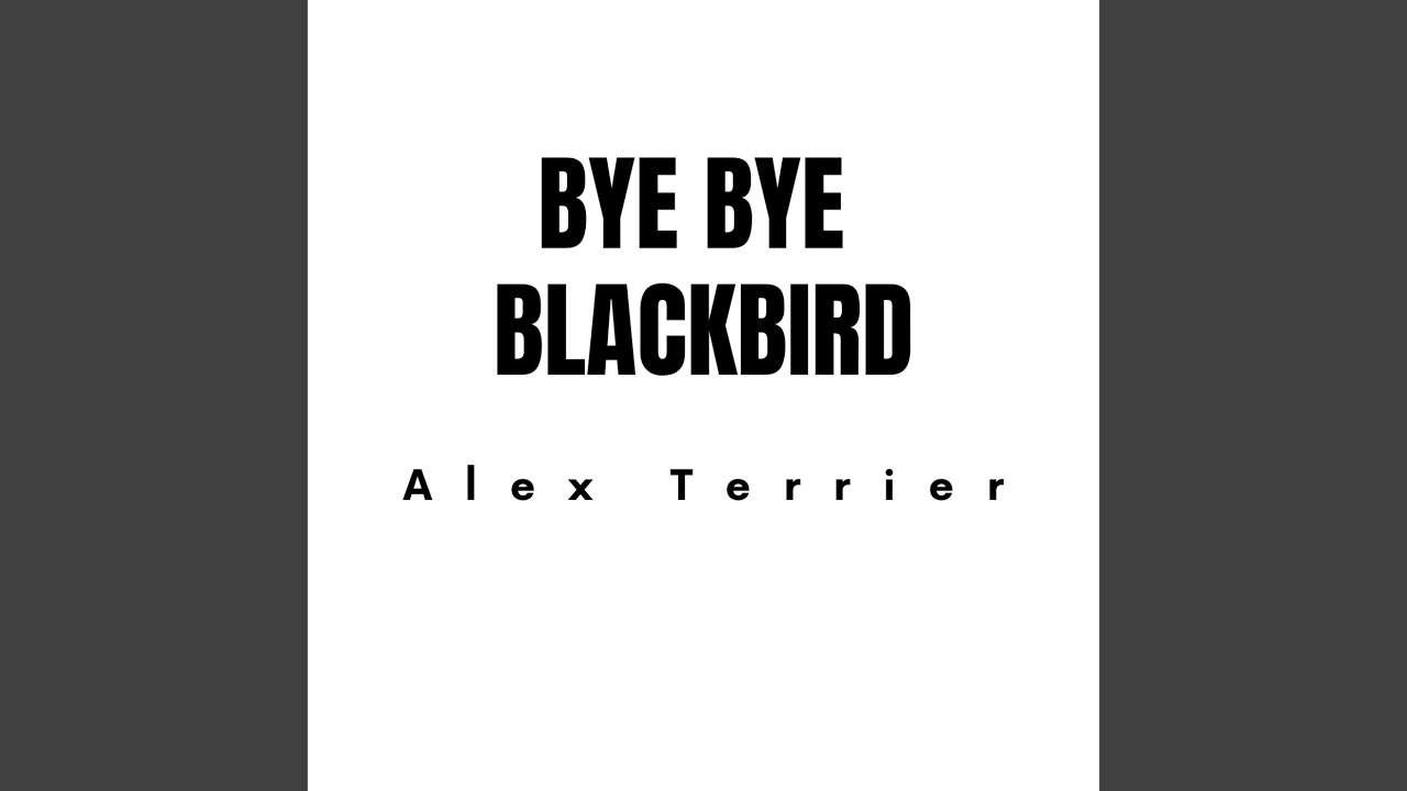 Bye Bye Blackbird