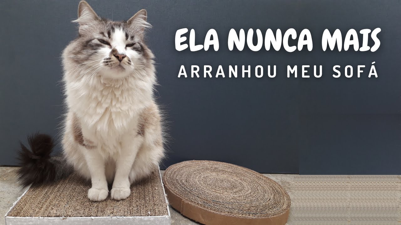 Arranhador para Gato com Papelão - 2 modelos | aprenda como fazer esse DIY para seu gato