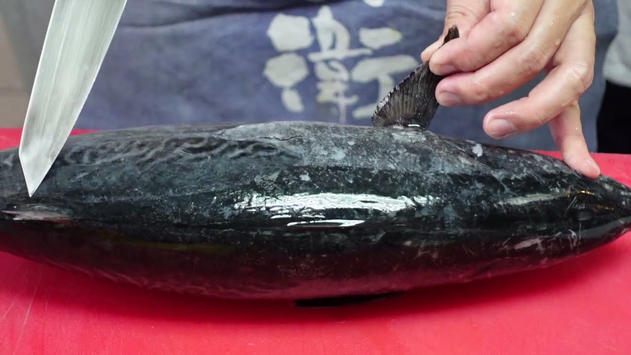 鰹魚半敲燒-日式料理