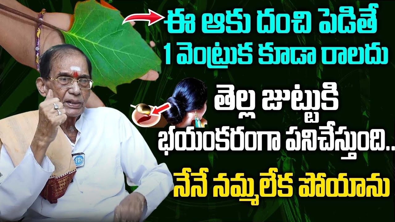 జుట్టు రాలిపోతుందా? ఈ ఆకుల చిట్కా వాడితే మళ్లీ నల్లగా, దట్టంగా పెరుగుతుంది | Hair Fall | iDream