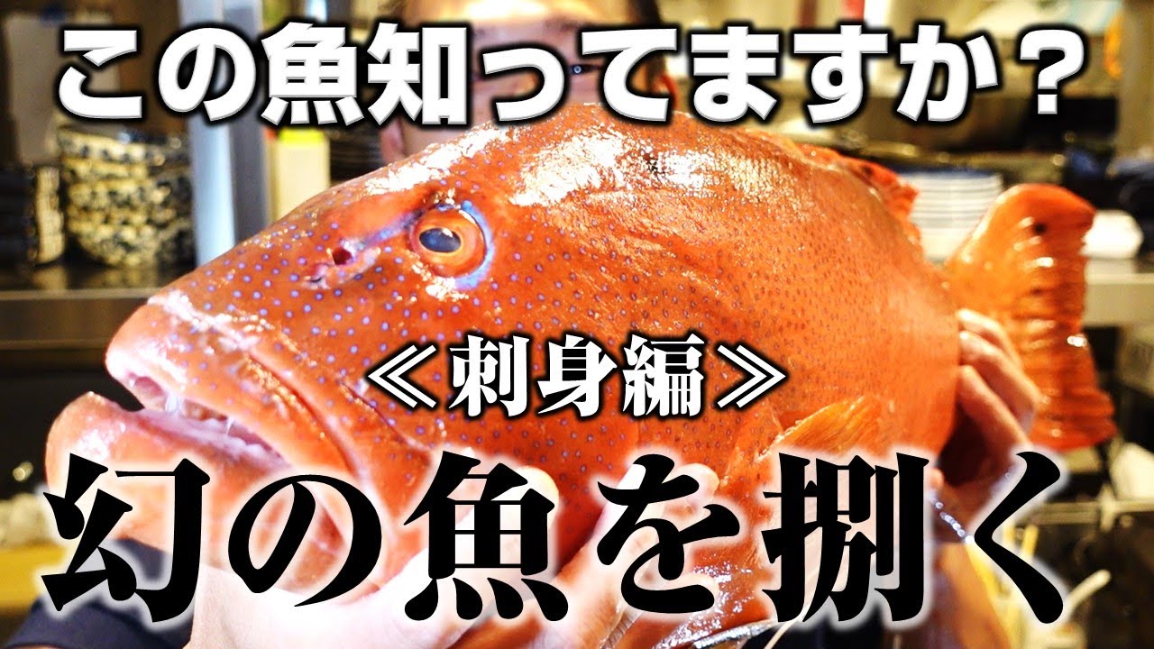 幻の高級魚赤い彗星を捌く！【刺身編】