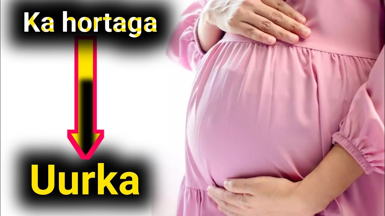 Si fudud uga hortag qaadista Uurka aanku Tala galka aheen hadii aa....
