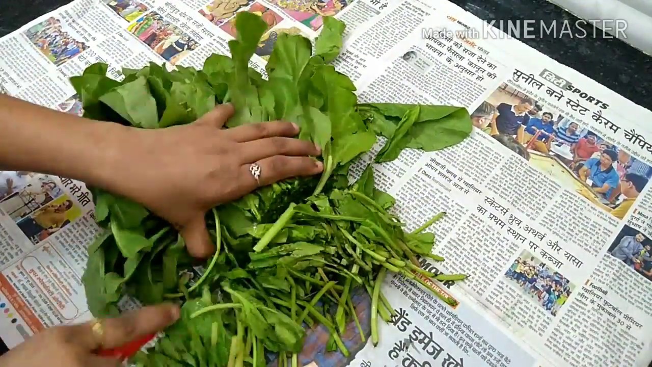 How to store Spinach || पालक को एक हफ्ते तक कैसे ताजा रखे/