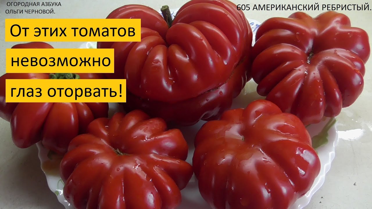 70 лучших сортов томатов в одном видео! Томаты с описанием! Фото томатов на разрезе!