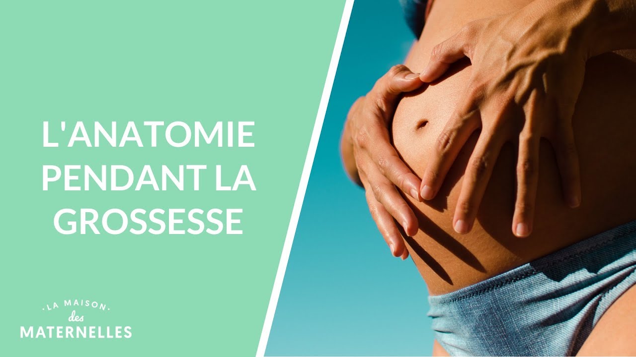 L'anatomie pendant la grossesse - La Maison des maternelles #LMDM