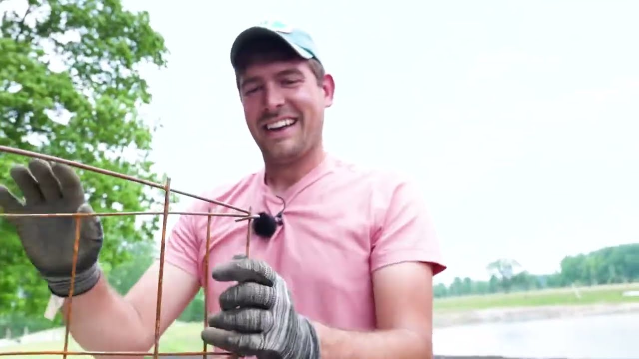 This Old School Tomato Cage is a GAME CHANGER For Growing Cheap and Easy!