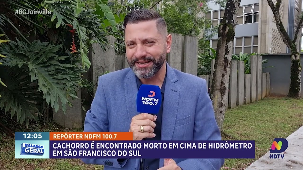 Cachorro é encontrado morto na Praia do Ervino