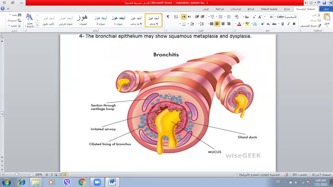 Pathology of Respiratory system. Part 1 / د. رشا الجوهر