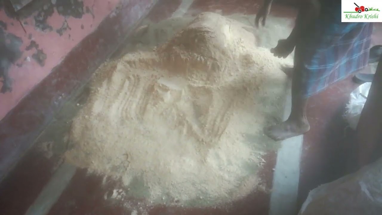 গরুকে খাবার সোডা খাওয়ানোর সুবিধা ও অসুবিধাসহ বিস্তারিত আলোচনা || গরুকে খাবার সোডা খাওয়ানোর নিয়ম।