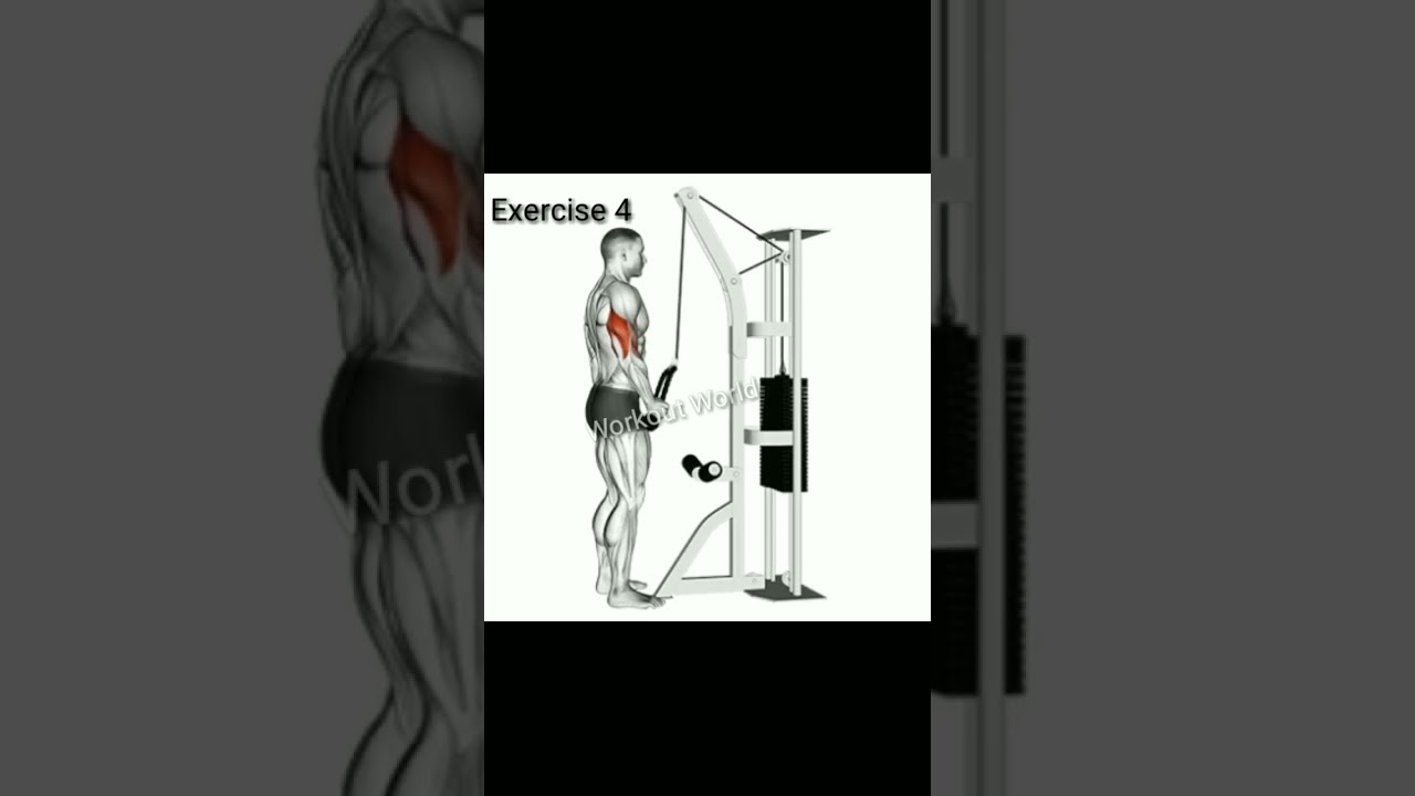 chest and triceps exercise #shorts #chestandtriceps
