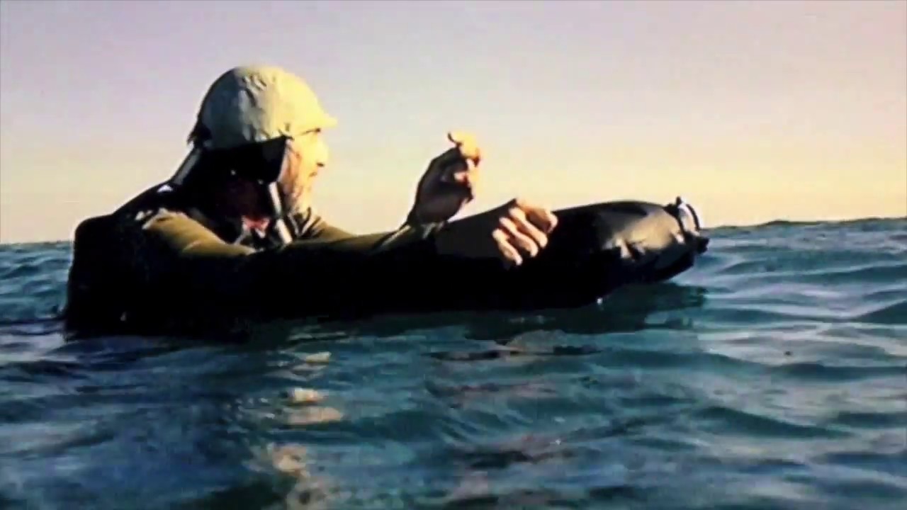 Pfeiffer At Gnaraloo