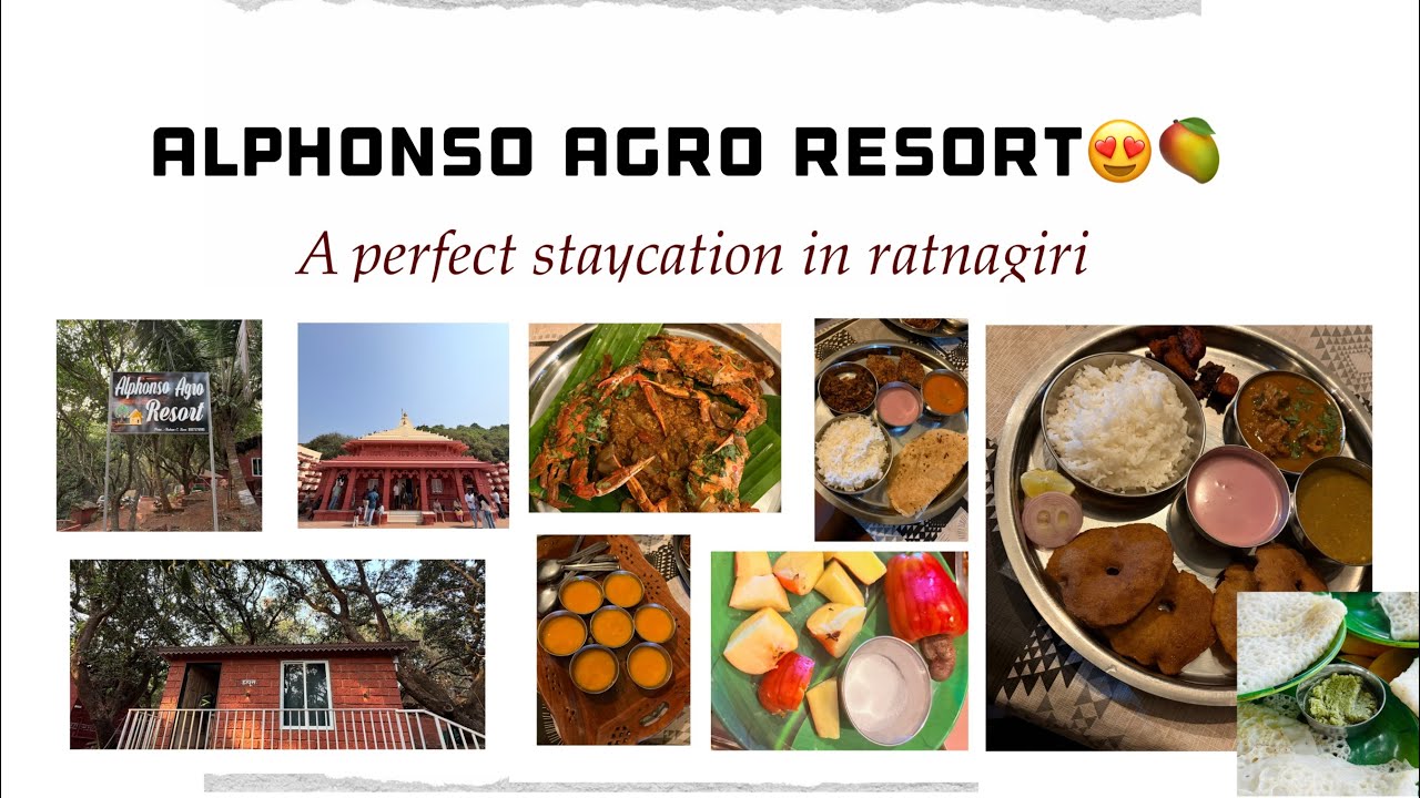 Perfect staycation in Ratnagiri kokan | Alphonso agro resort 😍🥭 | vlog no.50 | pranali gholap | 