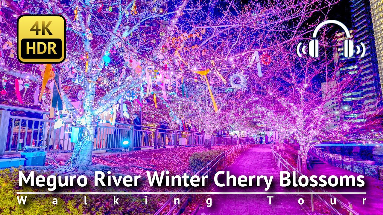 Tokyo Christmas Lights 2025: Meguro River Winter Cherry Blossoms [4K/HDR/Binaural]
