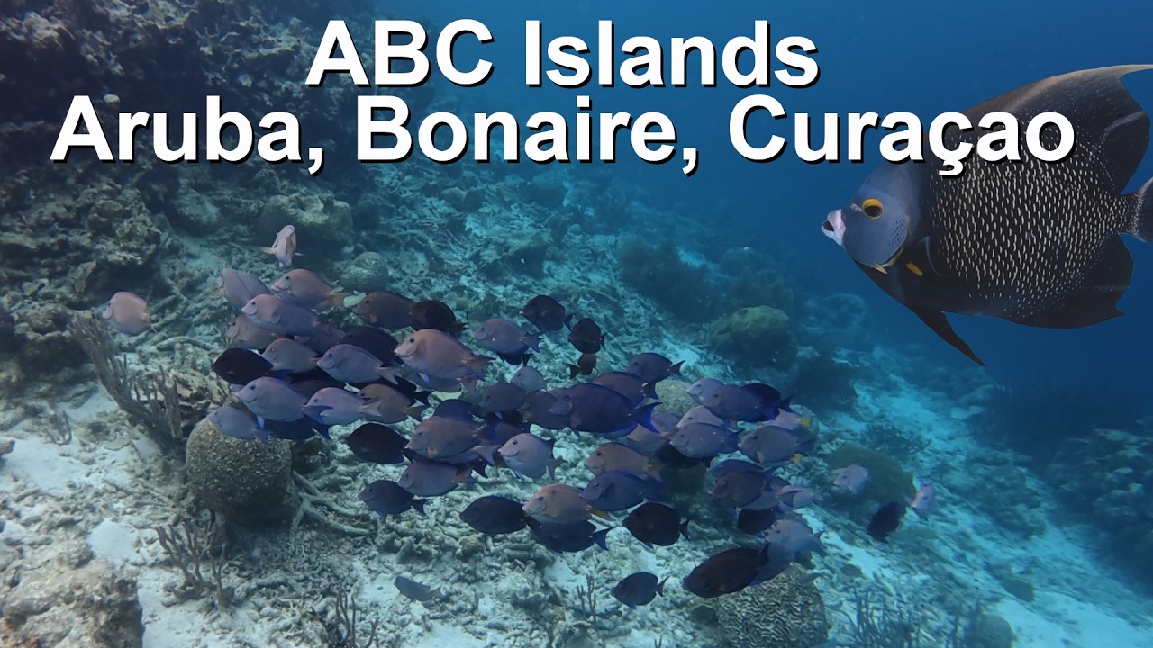 Cruising the Caribbean | ABC Islands | P&O Britannia Jan2026 | Aruba Bonaire Curacao (Trip t-44e1)