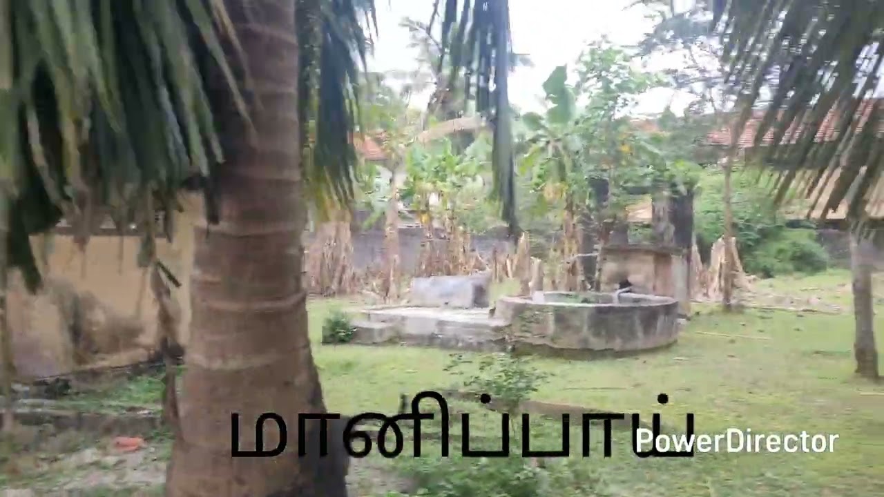காணி விற்பனைக்கு/மானிப்பாய்/5.75பரப்பு /JAFFNA LAND&HOMES 