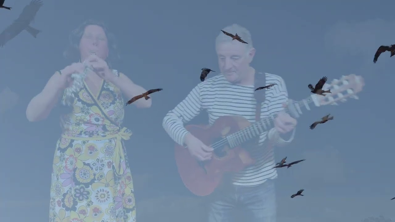 ViZ - l'oiseau
