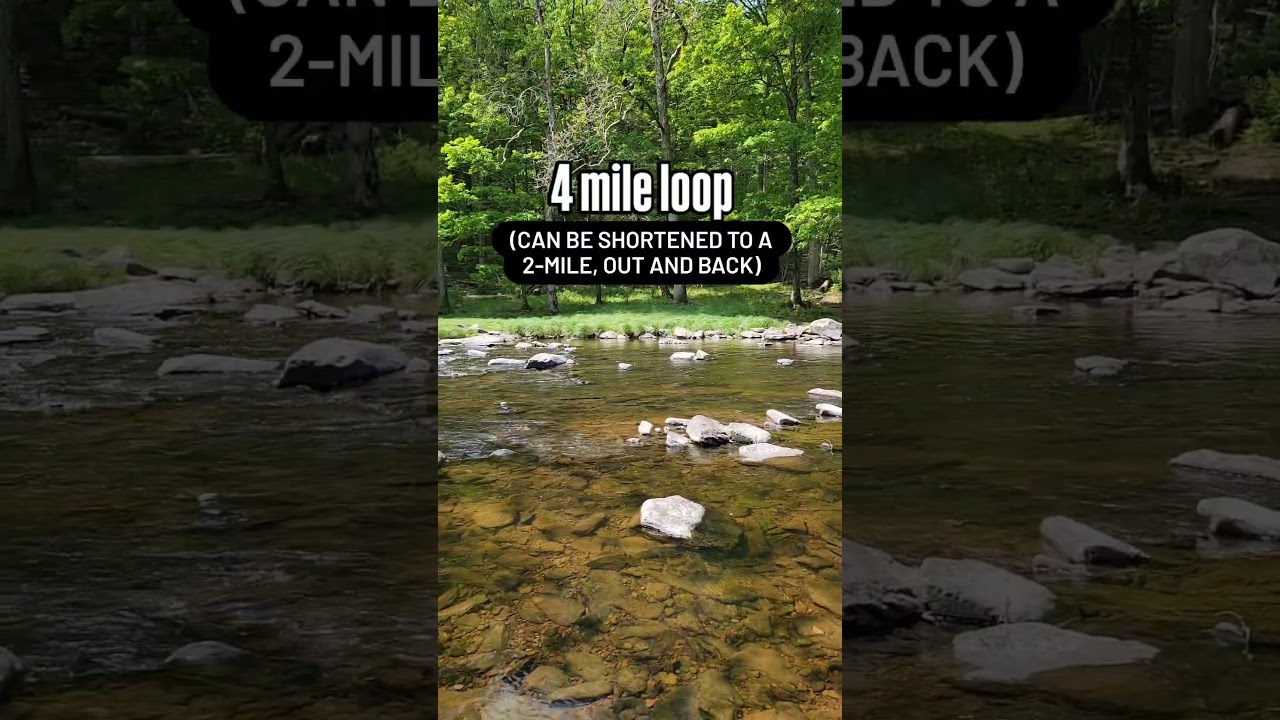 one of the best trails in Bucks County, PA #hiking #pennsylvania #buckscountypa