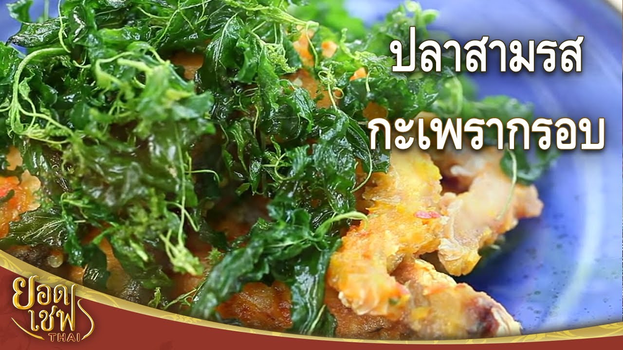 ปลาสามรสกะเพรากรอบ I ยอดเชฟไทย (Yord Chef Thai) 13-02-16