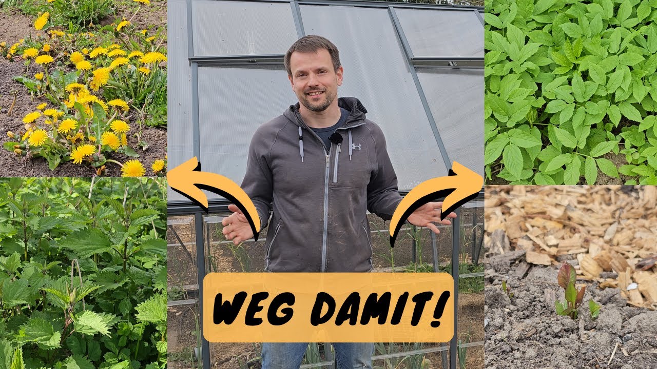 Wie ich gegen Giersch, Ackerwinde, Brennesseln & co. vorgehe!